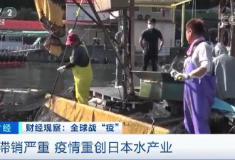 日本水产业遭重创！这种鱼价格暴跌99%！