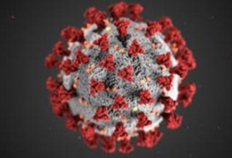 29%新冠病毒样本现变异 变异病毒已传播