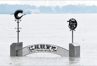 长江洪水高度又飙新高 地方开始炸堤泄洪