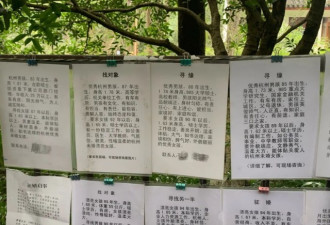 姑娘去万松书院相亲后怒了：当你儿子是皇帝？