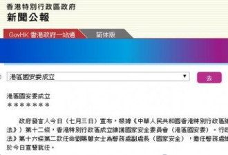 香港国安委成立，林郑月娥担任主席