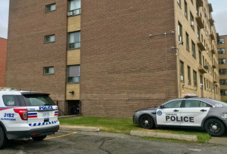 3岁男童和1岁女婴在北约克公寓被刺伤