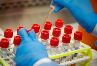 安省病例突然飙升！20多天来首次超200例