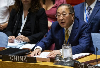 联合国通过一决议 中国动用否决权后弃权