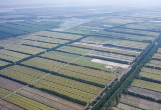 隐瞒粮食危机？中国政府逼迫农民复耕荒田