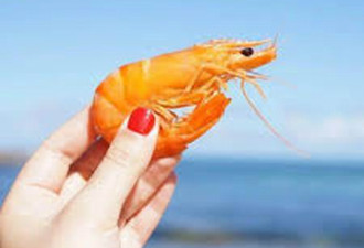 冻南美白虾包装检出新冠病毒 还能吃生鲜吗？