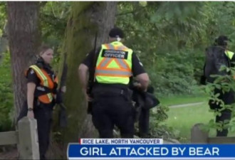 真出事了！北温公园黑熊咬伤10岁女孩 已关闭