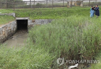 韩监控拍到朝鲜疑似病例行迹 排水道返朝