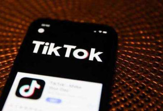 面对禁令 TikTok计划3年在美增加1万工作岗位