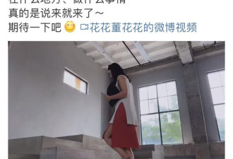 猫总夫人要创业了！虽然不知道在干啥...