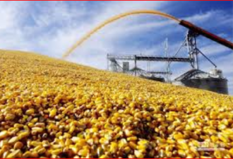 北京持续大规模采购美国农产品