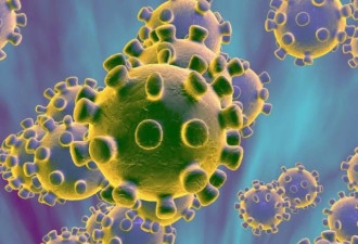 G4病毒猪群中主导 会成为下一个大流行吗？