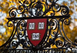 纽约大学3千中国留学生上海入学！学费10万+