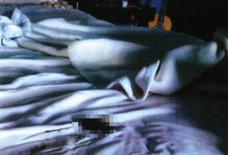 德普公开前妻在床上大便照片 女神形象破灭