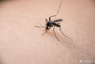 研究首次证实！蚊子不能传播新冠病毒...