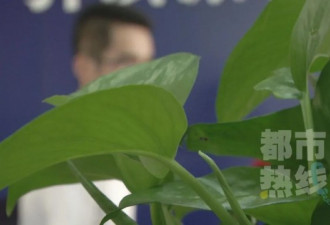 男厨师网恋被骗4万，"成熟"女友竟是未成年人！