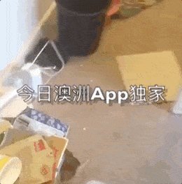中国女留学生欠租跑路留下一屋垃圾 自曝被骚扰