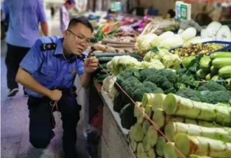 在扯蛋的事情上，他们一直很专业