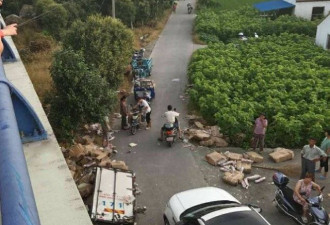 货车遇车祸散落猪肉遭哄抢 广播要求村民送回