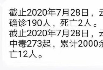 云南吃野生菌中毒死亡人数超过新冠？