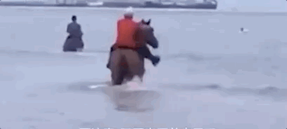 三男子策马冲入海中救人！像极了古代大侠