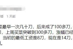 华人吐糟菜价涨500%，两个人买菜$1500