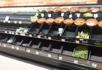 蔬价格恐暴涨60%！疫情影响超市供应