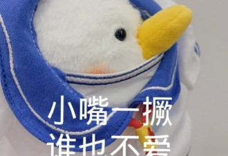京圈富二代家里一把椅子900w？深扒更吓人