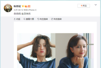 偷吃风波后陈思诚为佟丽娅庆生 她回应了