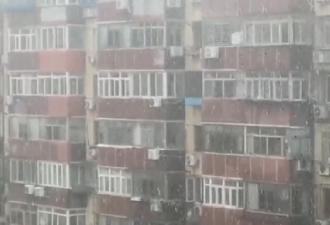北京6月飄雪 市民拍神奇一幕 官媒解释:不是雪