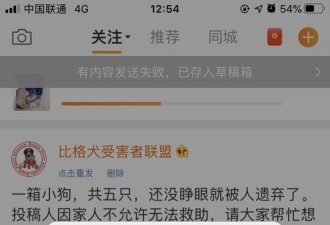 一条转让狗的微博被禁 博主百思不解