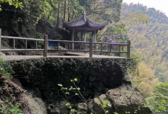 女子浙江旅游被男子推下20米高悬崖？
