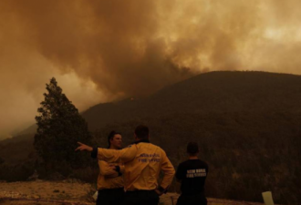 为应对下一个山火季 新州还需要1000名消防员