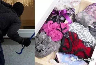 全世界每年3.5亿条女内裤被偷 去哪儿了