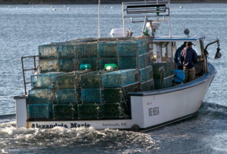欧盟同意取消美国龙虾关税 改善与欧洲关系