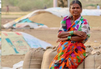 57岁印度文盲农妇坐拥百万粉丝成网红！
