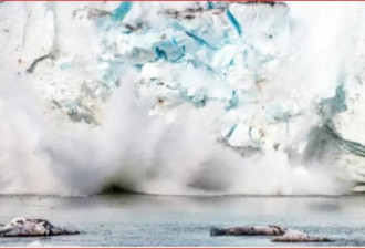 格陵兰冰盖去年减少5000亿吨 海平面上升拉警报