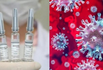 29种疫苗已进入临床试验！疫苗研发迅速