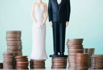 华女“正规渠道”办商婚，$7万打水漂还丢学签