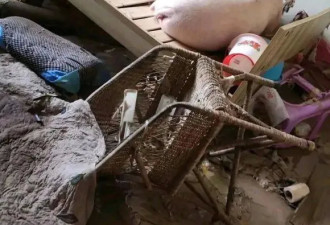 【爆笑】我的床上睡了头白白嫩嫩的大肥猪