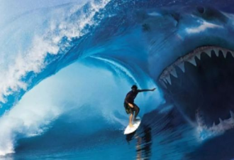 澳州一海滩发生大白鲨袭击人事件！