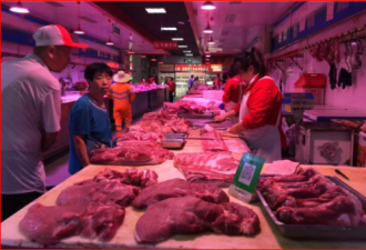 惊人！大陆猪肉价一个月涨了85.7%