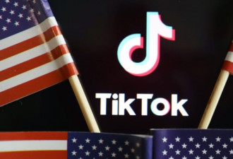 美共和党领袖要求调查TikTok收集数据问题
