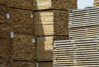 世贸裁决美国不应该对加拿大软木征税