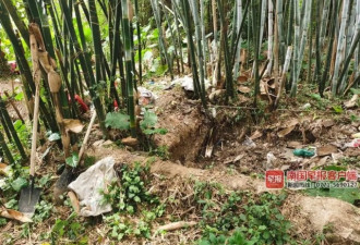 细节曝光！男子杀害前妻后埋尸化粪池去旅游