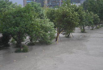 中国东部省份浙江遭台风侵袭直击黑格比登陆地