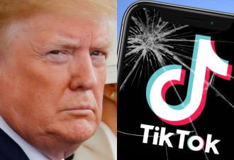TikTok 美国公司员工本周将起诉美国政府