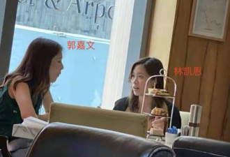 华裔富豪李泽楷送女友上亿豪宅