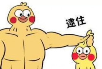 河南人间尤物，请注意查收...