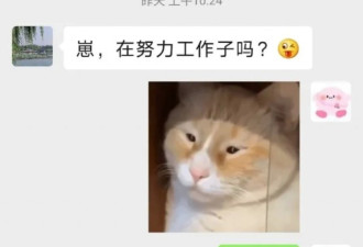 当你教爸妈学会网络流行语言后，没想到...